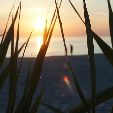 Poilsio namai Ramios Bites *