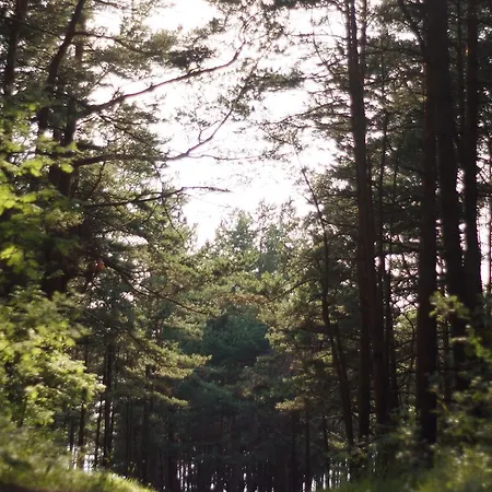 Poilsio namai Ramios Bites Palanga