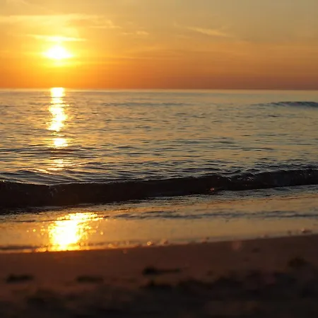 Ramios Bites Palanga