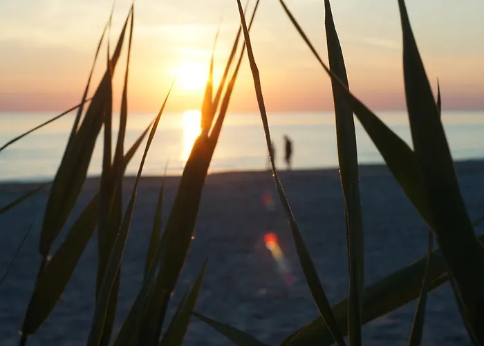 Будинок відпочинку Ramios Bites *