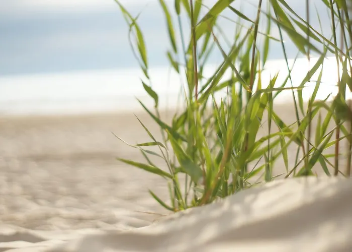 Ramios Bites Паланга