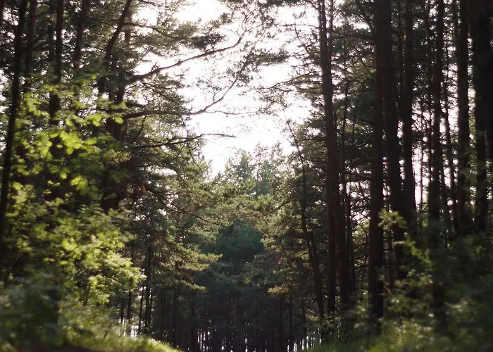 Дом отдыха Ramios Bites Паланга