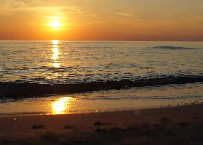 Ramios Bites Паланга